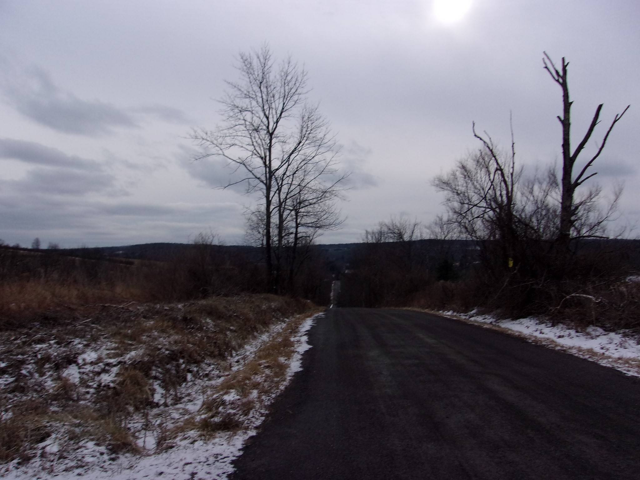 0 Poole Road Spencer, NY 14883 - Photo 23 of 43 Gallery Image 23