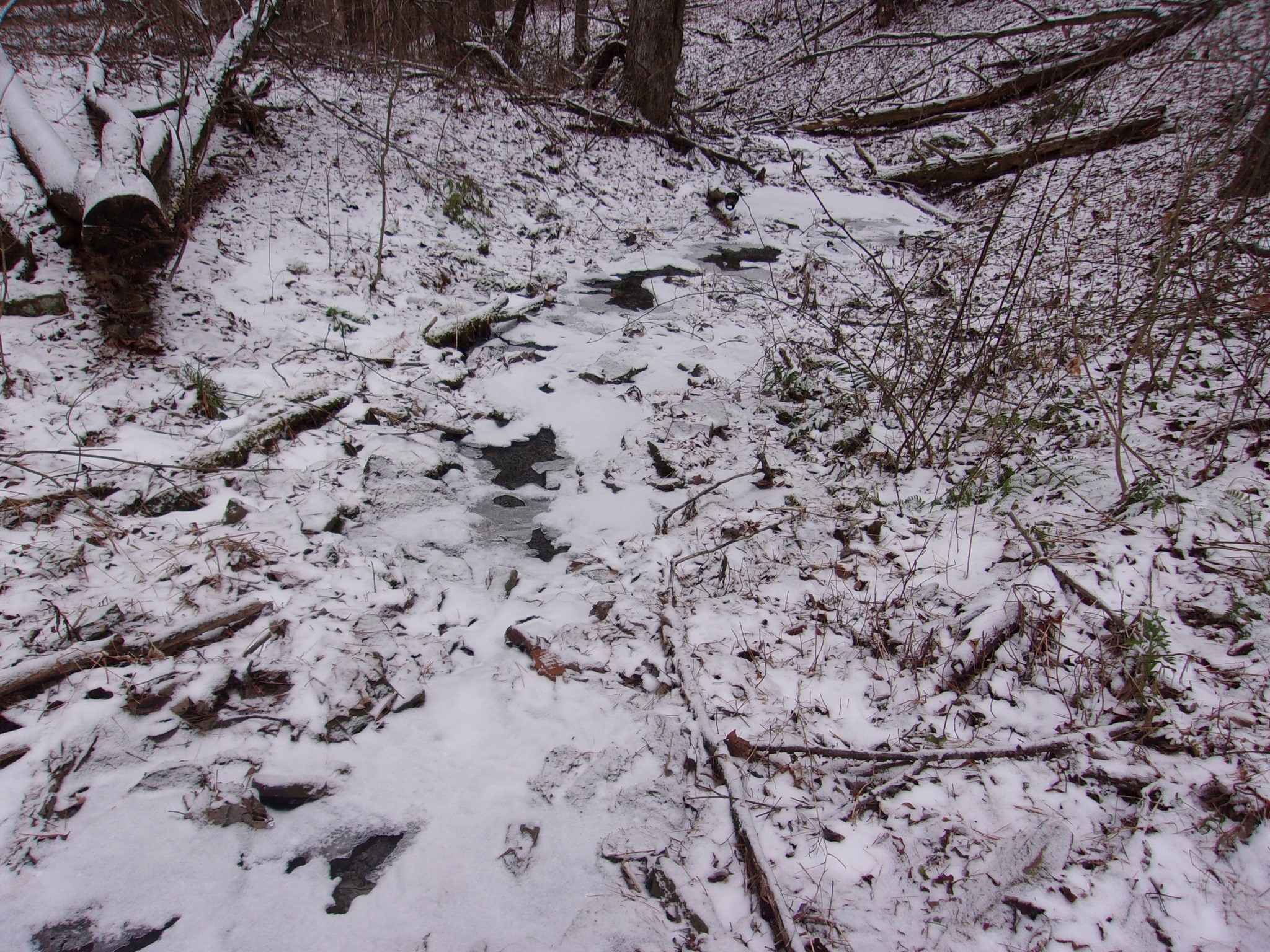 0 Poole Road Spencer, NY 14883 - Photo 27 of 43 Gallery Image 27