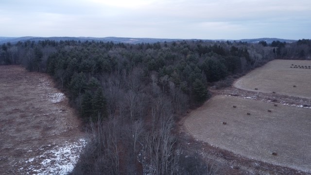 0 Poole Road Spencer, NY 14883 - Photo 29 of 43 Gallery Image 29