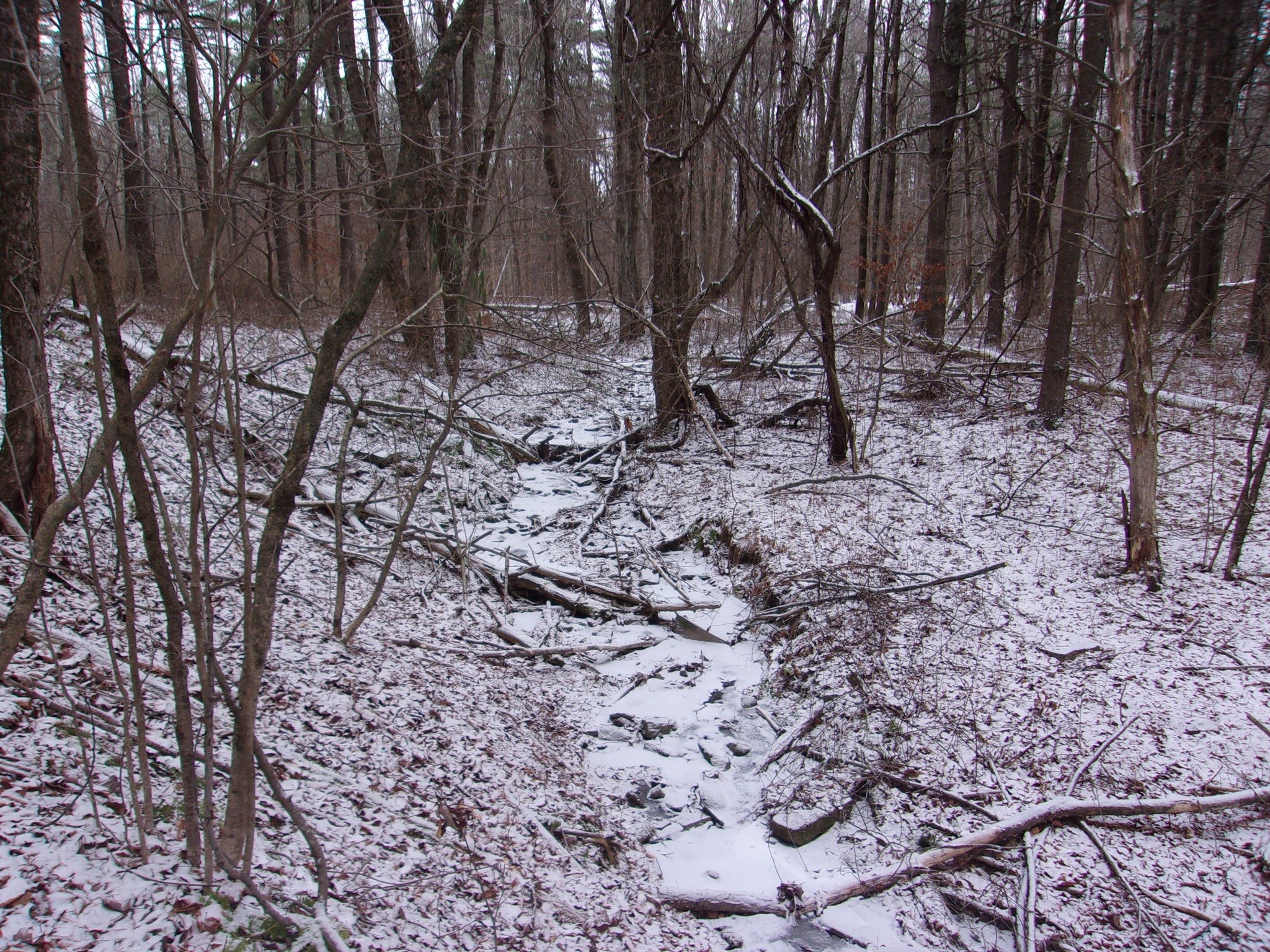 0 Poole Road Spencer, NY 14883 - Photo 30 of 43 Gallery Image 30