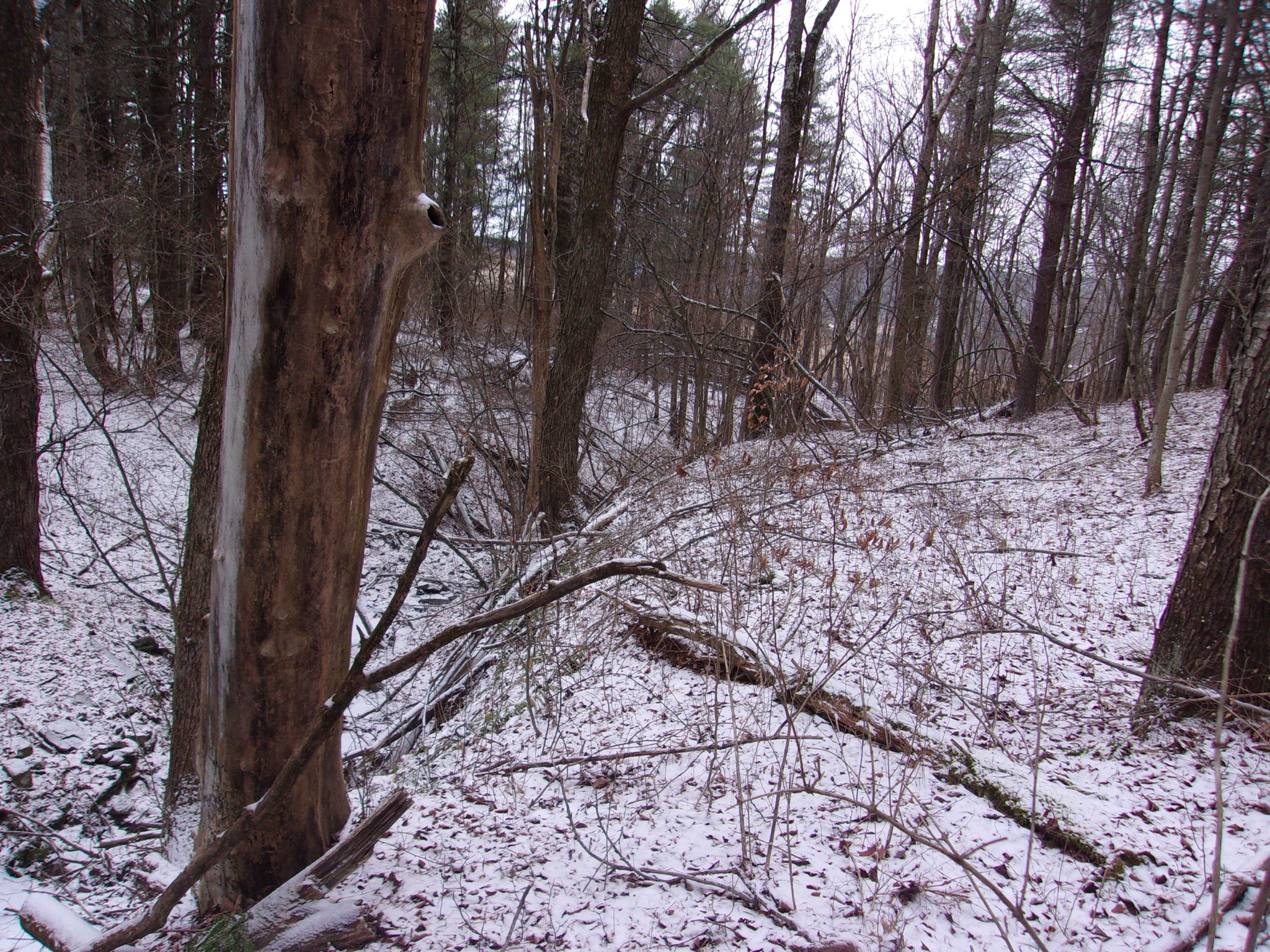 0 Poole Road Spencer, NY 14883 - Photo 31 of 43 Gallery Image 31