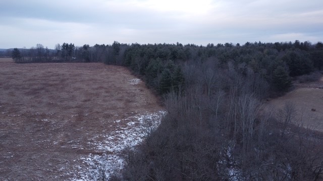 0 Poole Road Spencer, NY 14883 - Photo 33 of 43 Gallery Image 33
