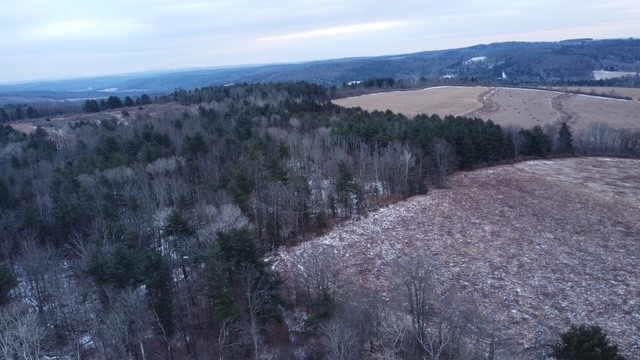 0 Poole Road Spencer, NY 14883 - Photo 35 of 43 Gallery Image 35