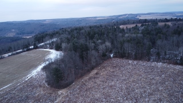 0 Poole Road Spencer, NY 14883 - Photo 36 of 43 Gallery Image 36