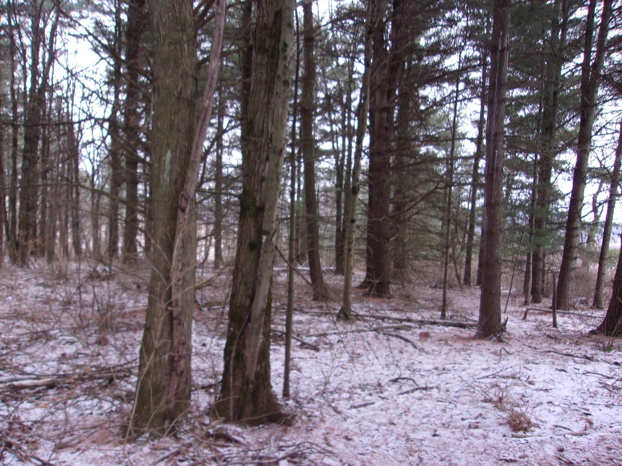 0 Poole Road Spencer, NY 14883 - Photo 38 of 43 Gallery Image 38