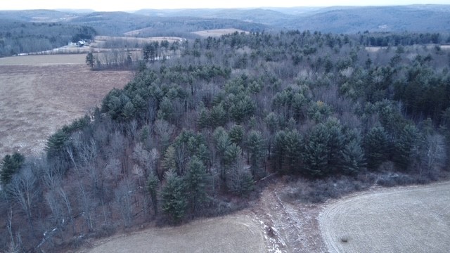 0 Poole Road Spencer, NY 14883 - Photo 42 of 43 Gallery Image 42