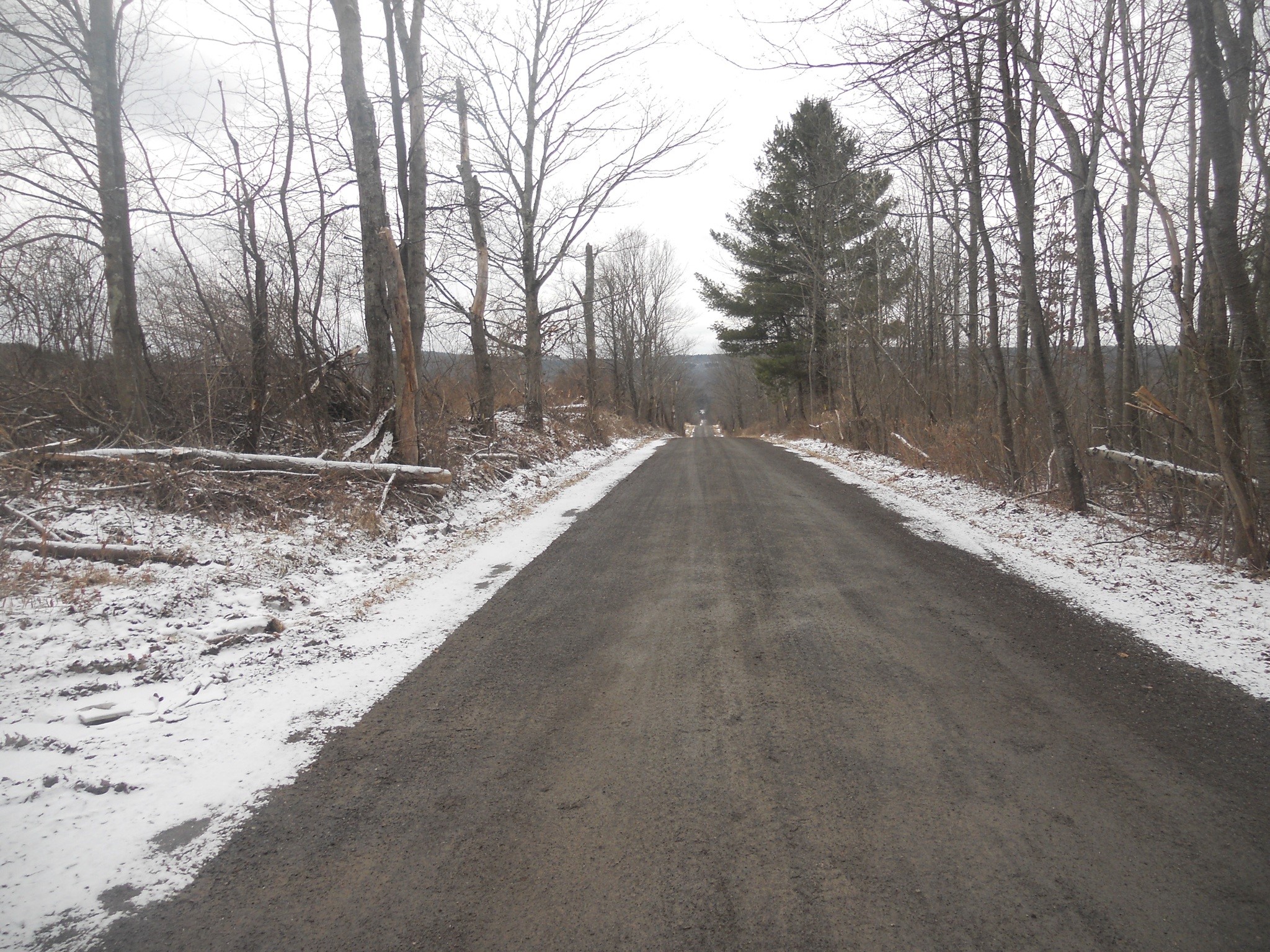 0 Poole Road Spencer, NY 14883 - Photo 43 of 43 Gallery Image 43