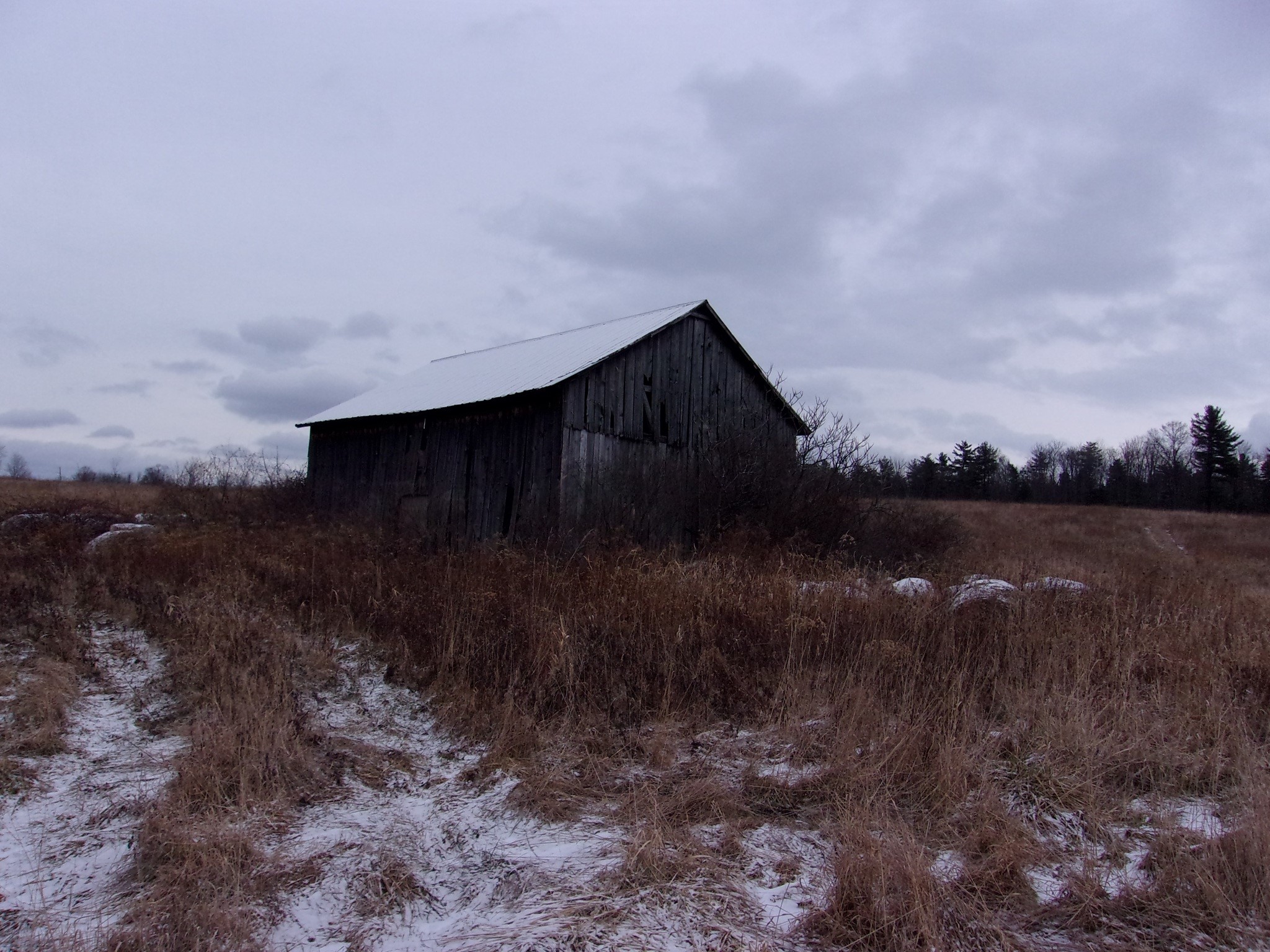 Gallery Image 6
