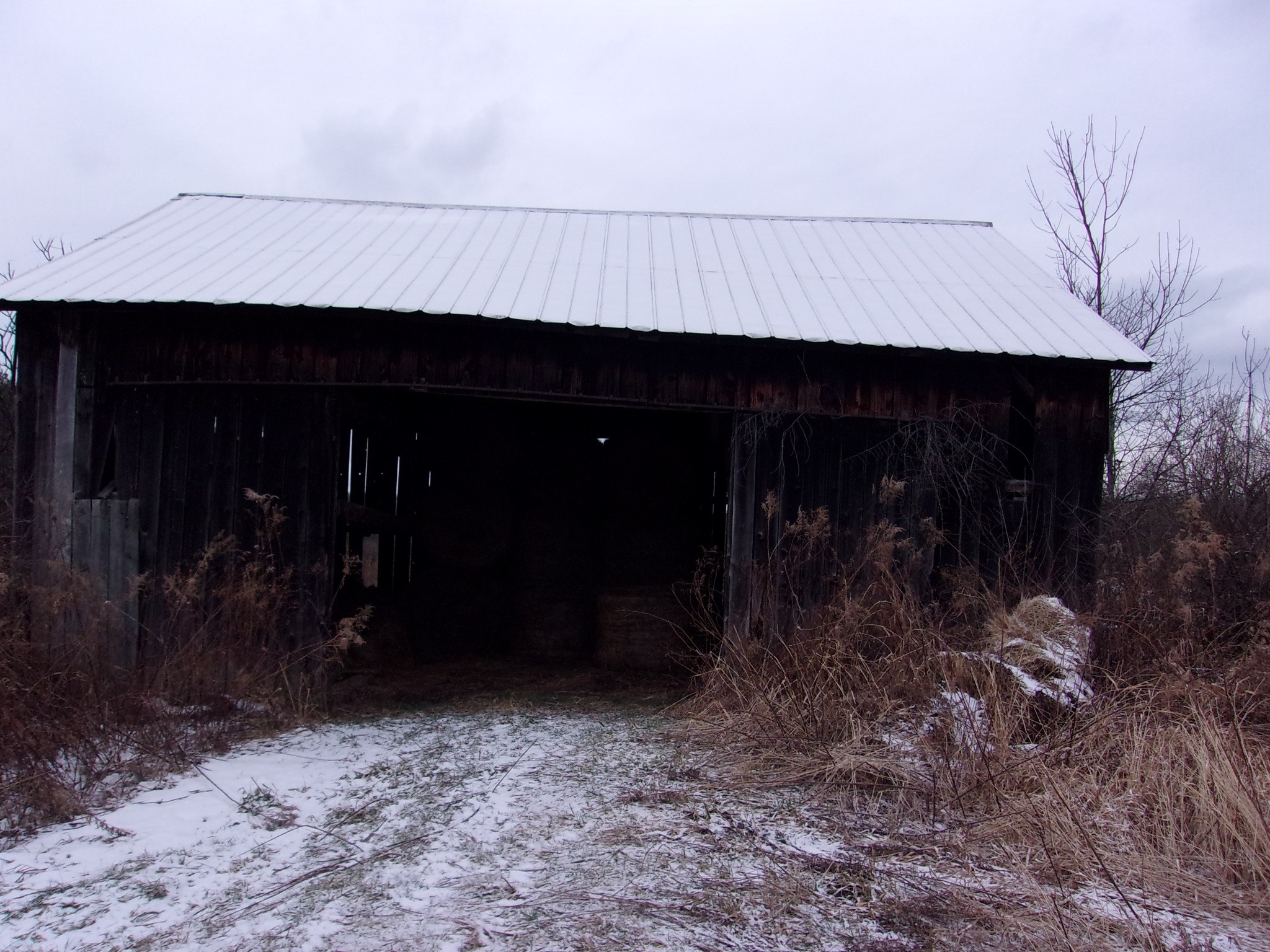 Gallery Image 7