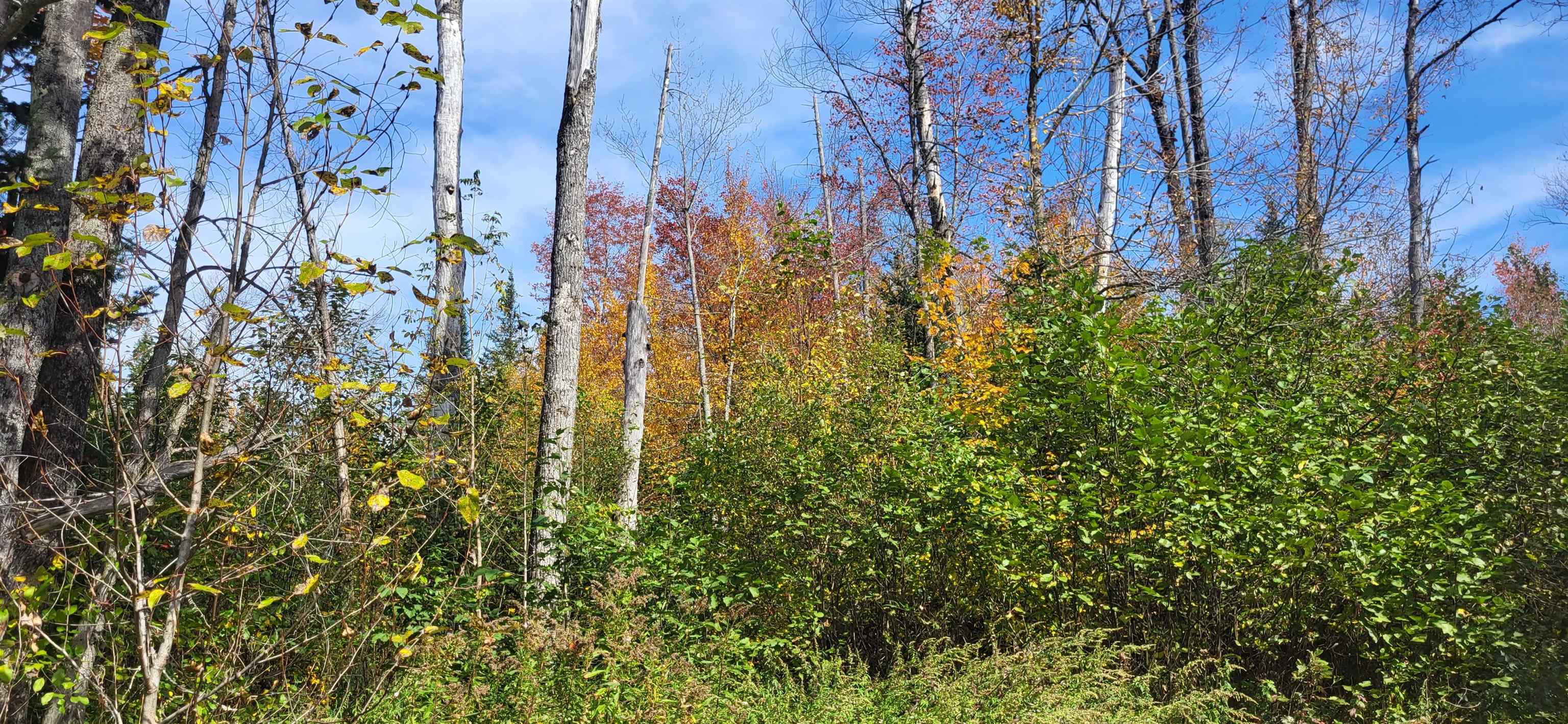 0 Thomas West Road Lunenburg, VT 05906 - Photo 14 of 17