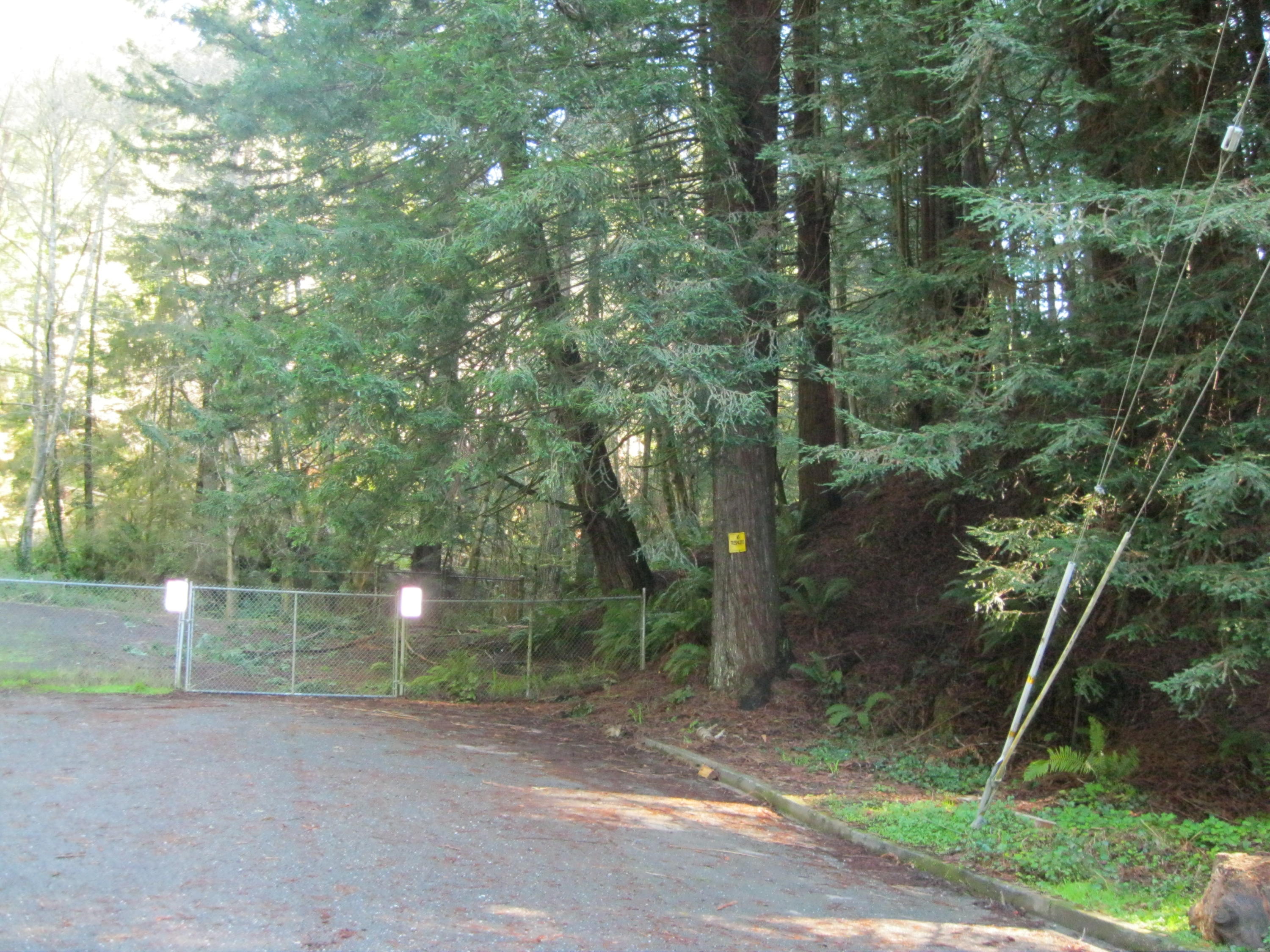 20 Beverly Drive Arcata, CA 95521 - Photo 8 of 9