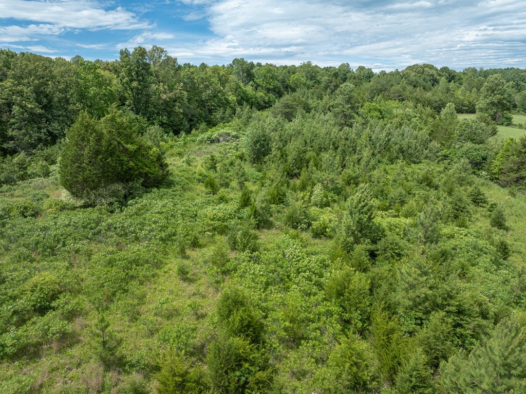 Featherfin Road, Unit 3B Prospect, VA 23960 - Photo 33 of 35 Gallery Image 33