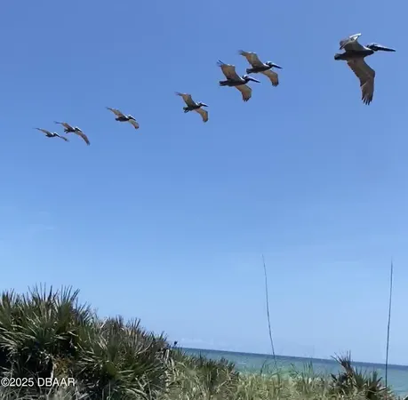 a kitchen with stainless steel appliances a refrigerator sink and microwave