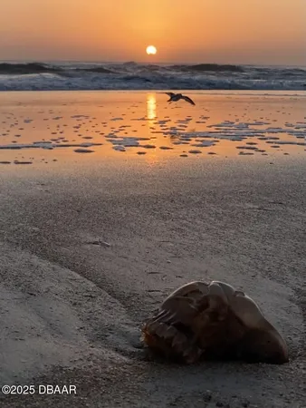 $319,000 | 3000 Ocean Shore Boulevard, Unit 15, Ormond Beach, FL 32176