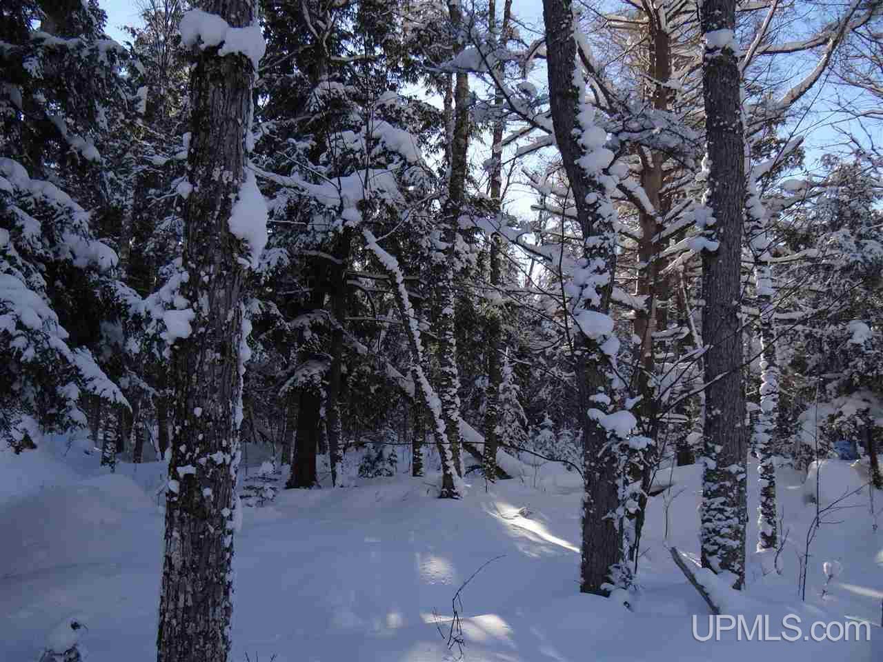 Tbd Irwin Road Baraga, MI 49908 - Photo 19 of 27