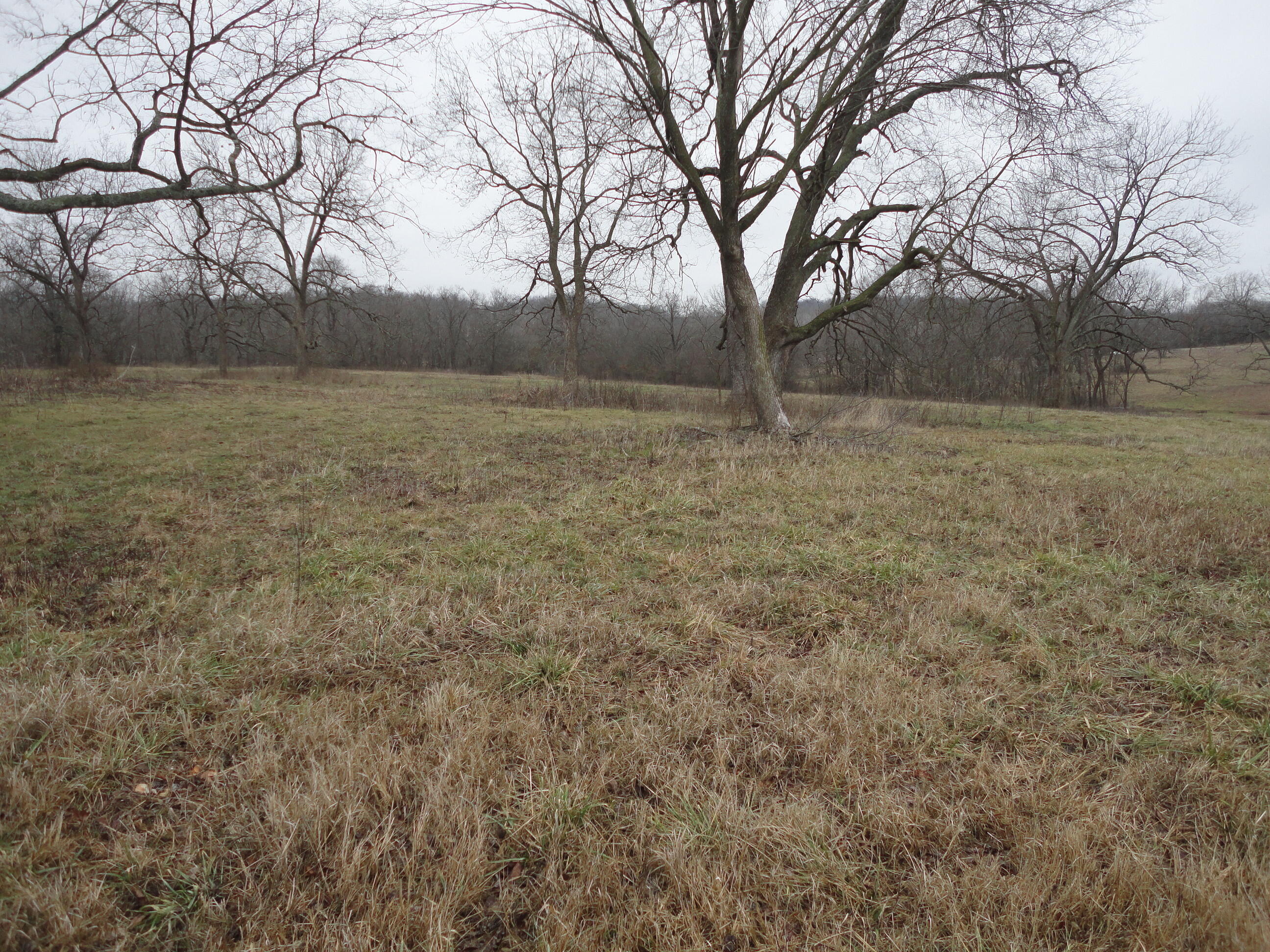 62185 East 270 Road Grove, OK 74344 - Photo 4 of 21 DSC03331