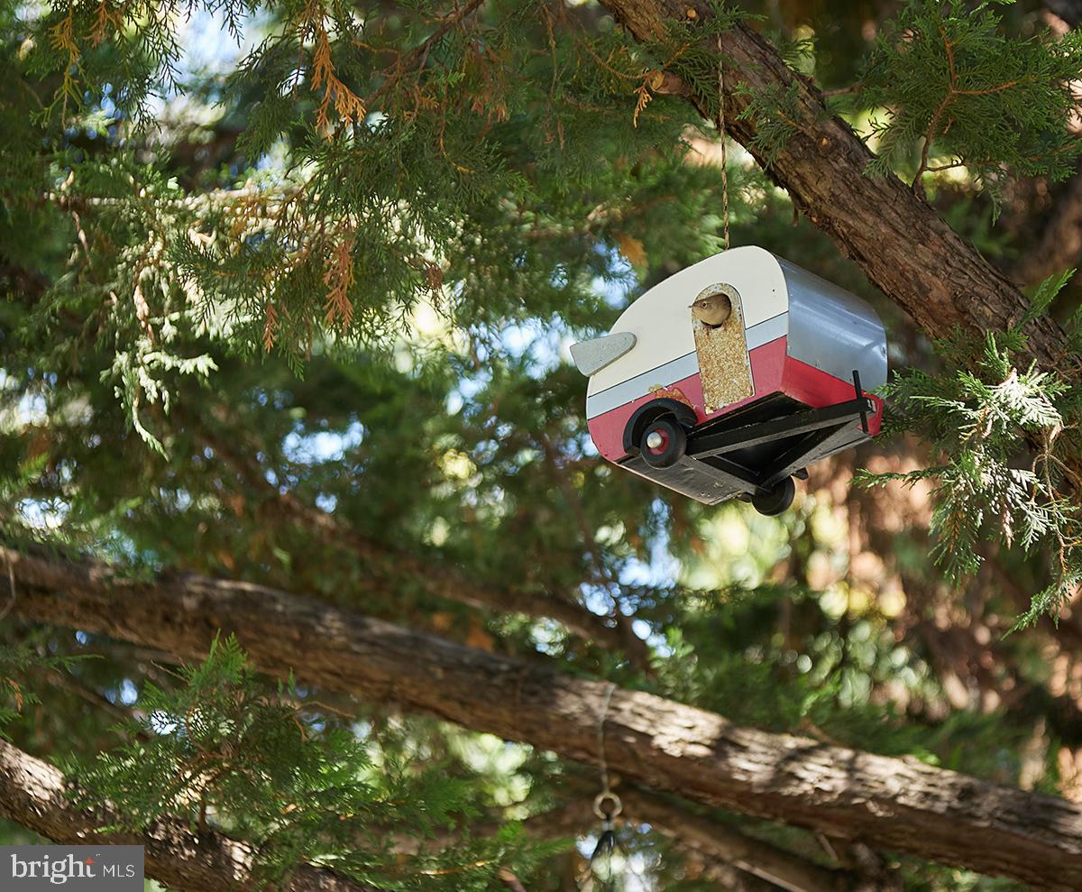 1325 R Street Northwest, Unit B Washington, DC 20009 - Photo 48 of 51