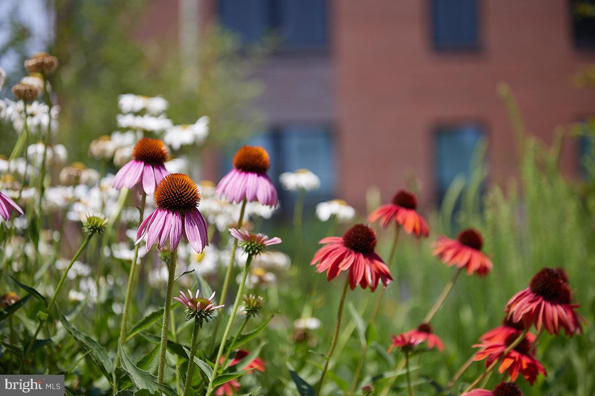 1325 R Street Northwest, Unit B Washington, DC 20009 - Photo 51 of 51