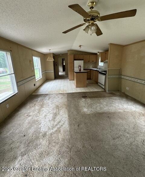 12341 Clinton Road Onondaga, MI 49264 - Photo 3 of 15 Photo May 30 2025, 3 30 15 PM