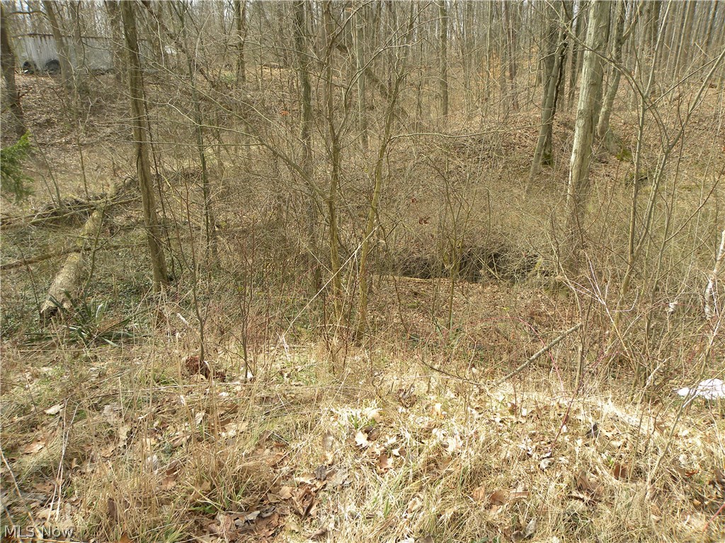 44955 Hughes Road Oberlin, OH 44074 - Photo 28 of 33 Gallery Image 28