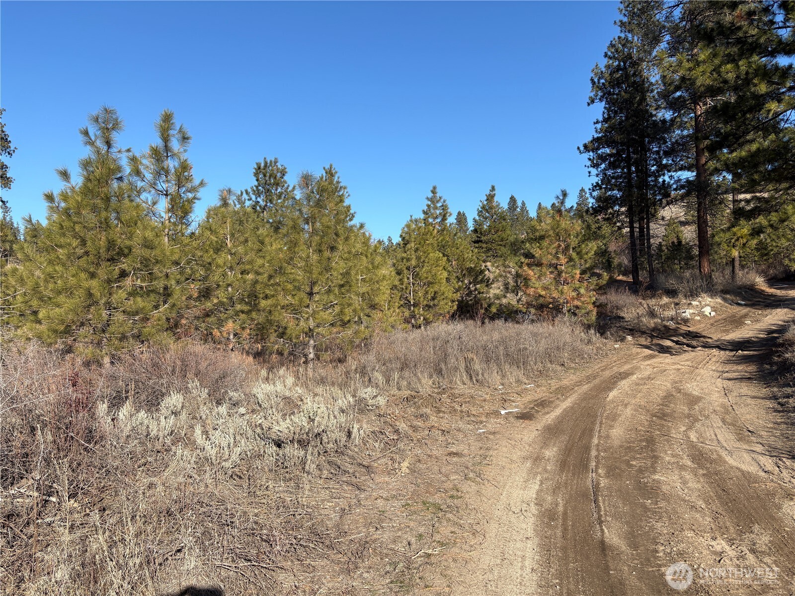 1 Valley View Drive Oroville, WA 98844 - Photo 11 of 11 a view of a dry yard with trees in the background