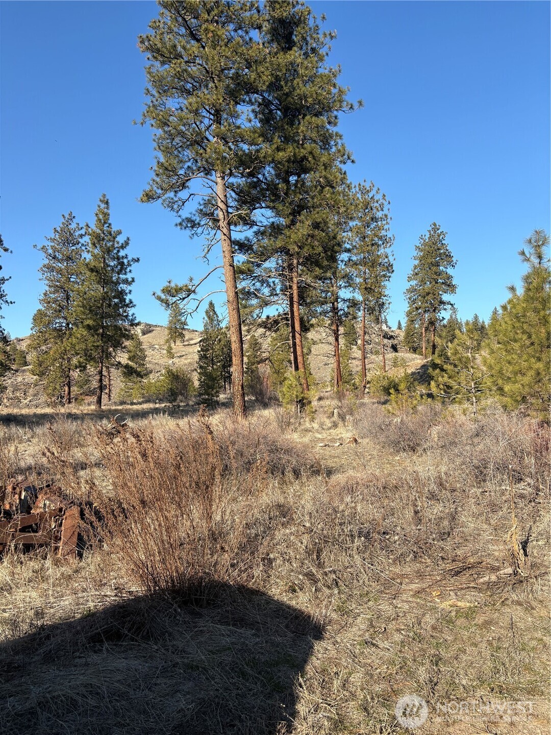 1 Valley View Drive Oroville, WA 98844 - Photo 2 of 11 a view of a yard with wooden fence