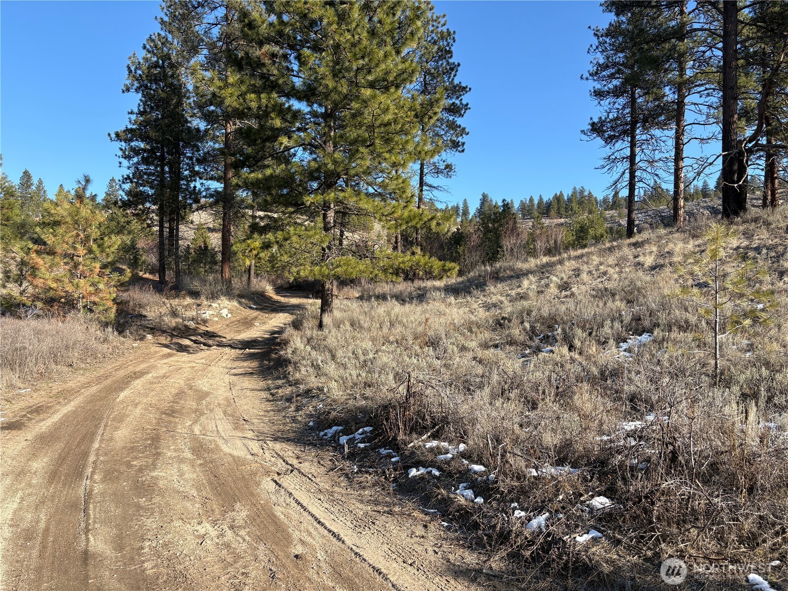 1 Valley View Drive Oroville, WA 98844 - Photo 3 of 11 a view of a forest filled with trees