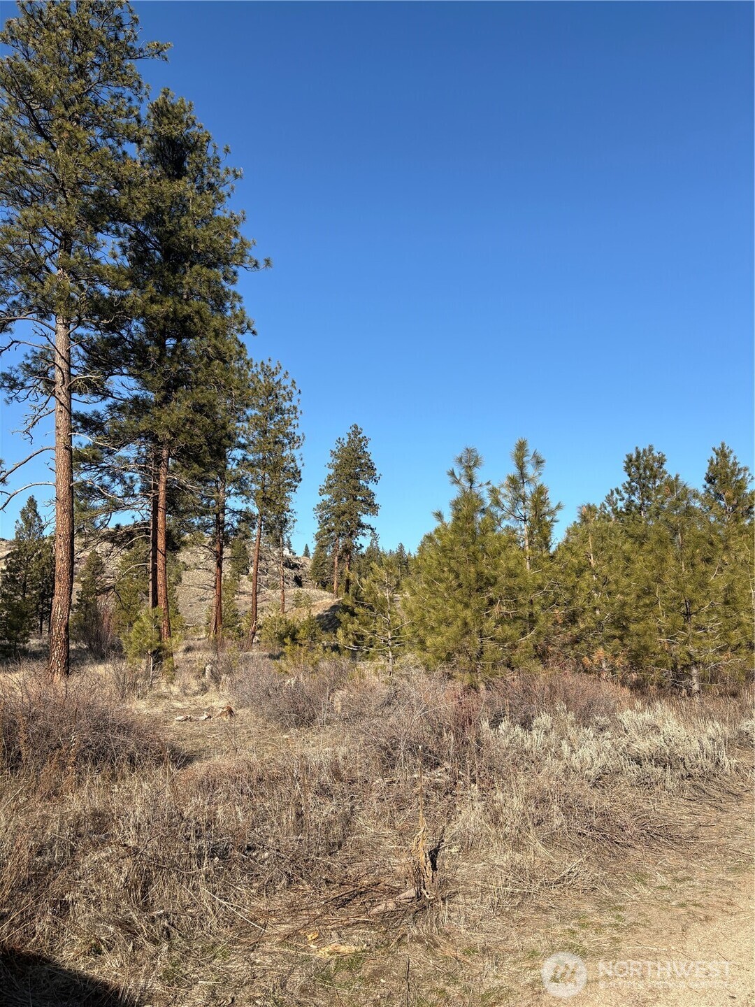 1 Valley View Drive Oroville, WA 98844 - Photo 5 of 11 a view of a yard