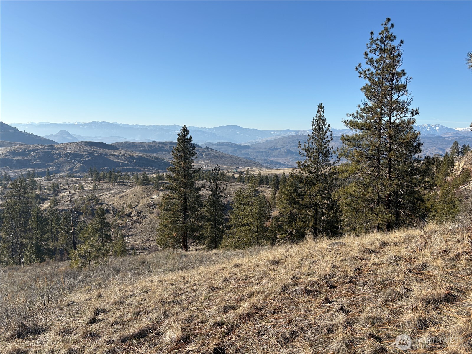 1 Valley View Drive Oroville, WA 98844 - Photo 6 of 11 a view of a dry yard with mountains in the background