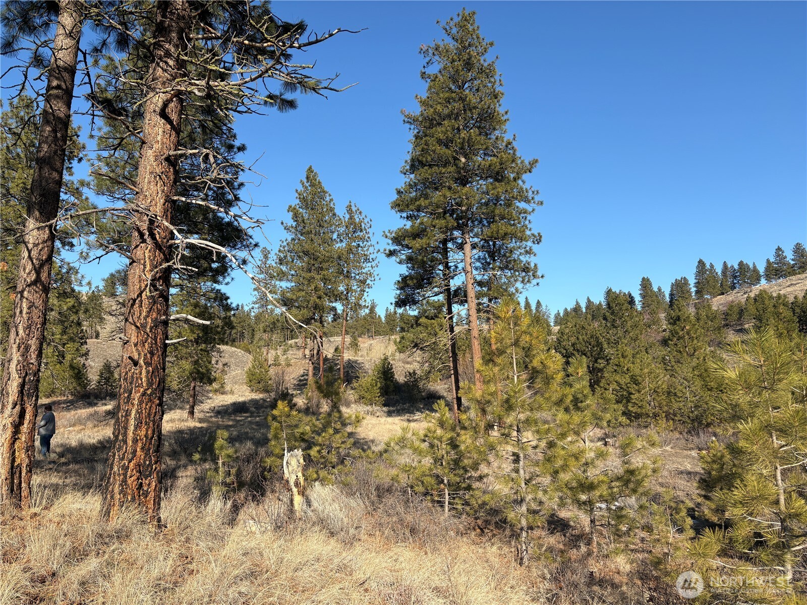 1 Valley View Drive Oroville, WA 98844 - Photo 8 of 11 a view of outdoor space