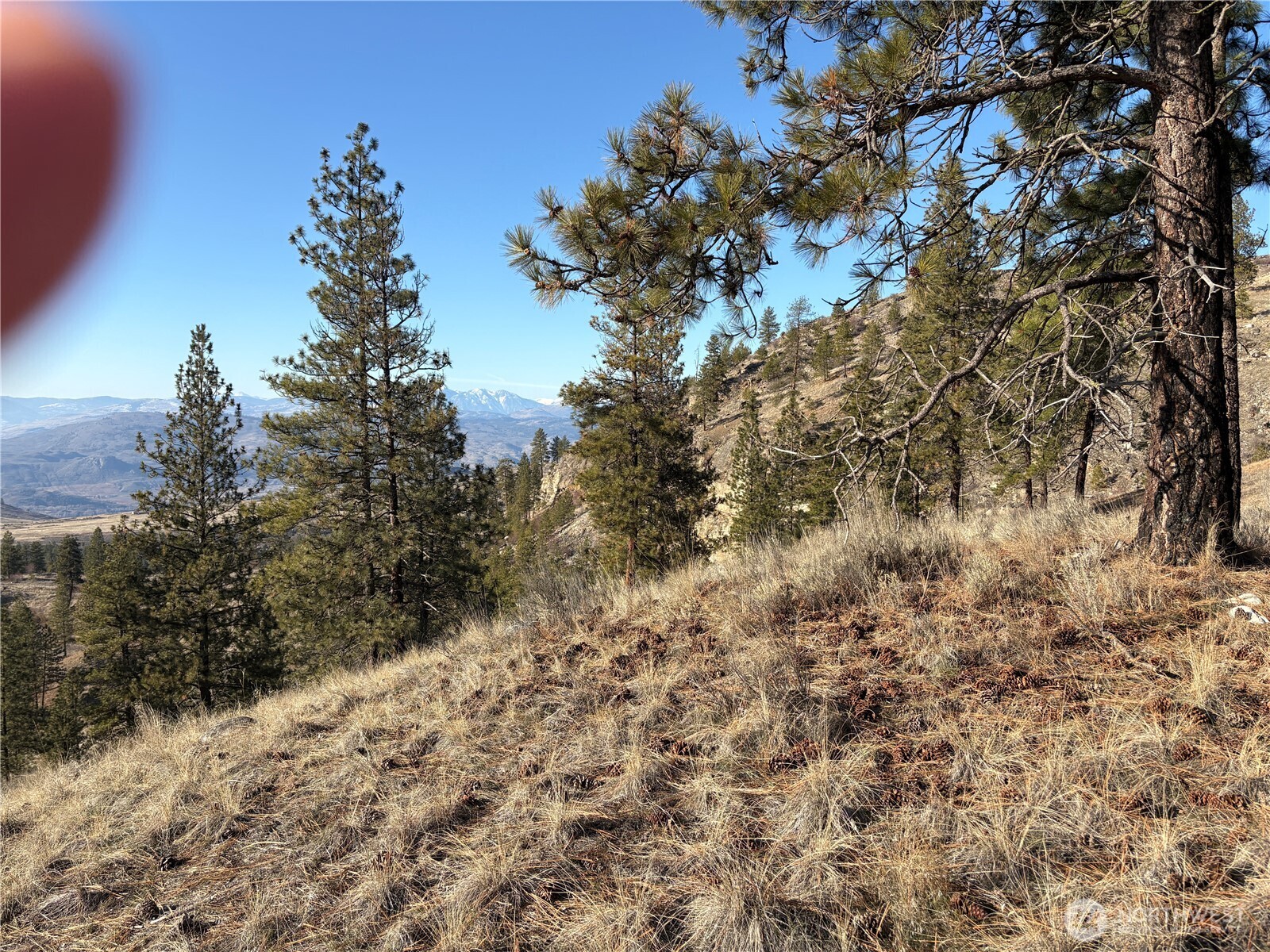 1 Valley View Drive Oroville, WA 98844 - Photo 9 of 11 a view of a yard with a tree