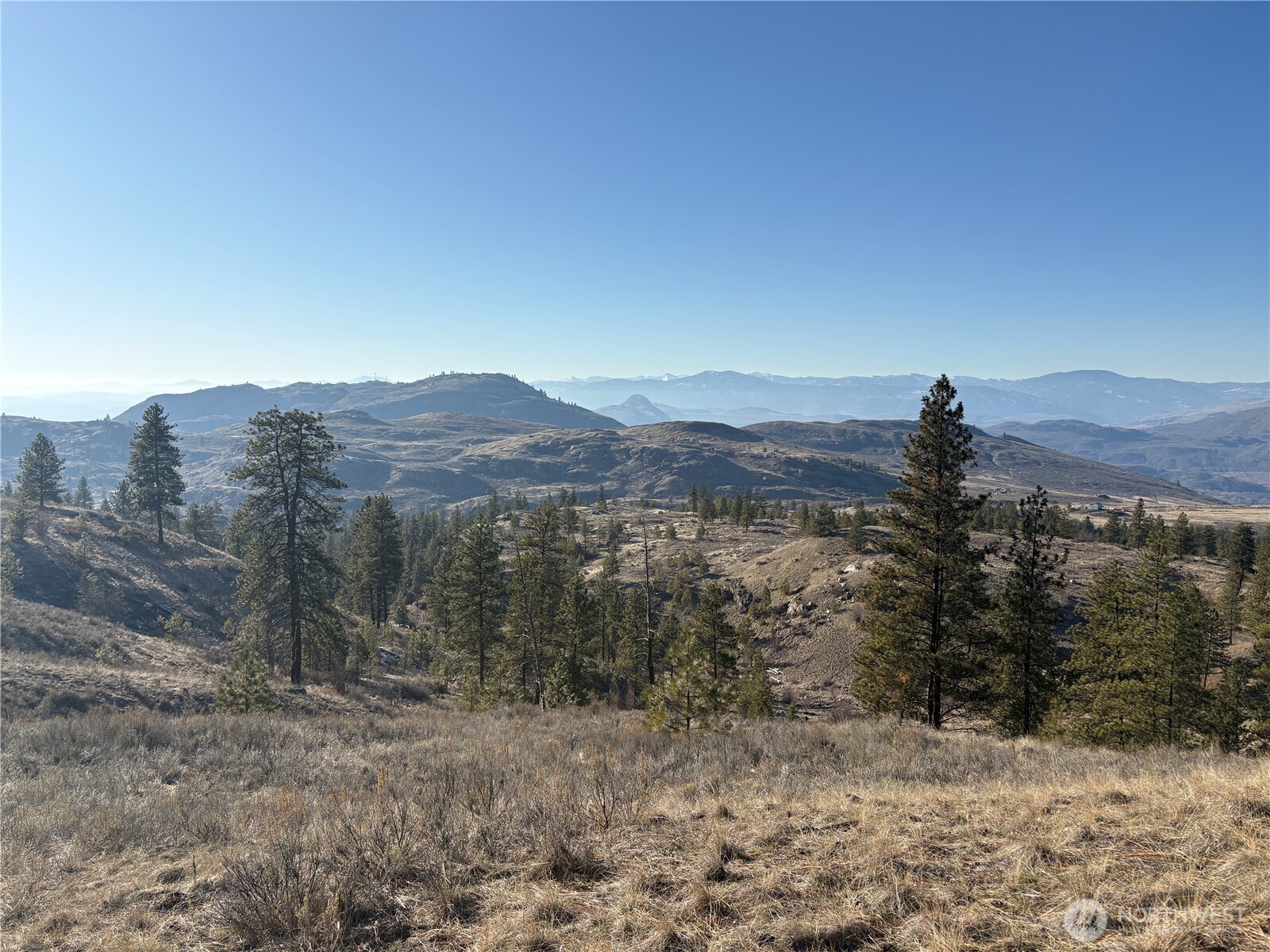 1 Valley View Drive Oroville, WA 98844 - Photo 10 of 11 a view of a dry field