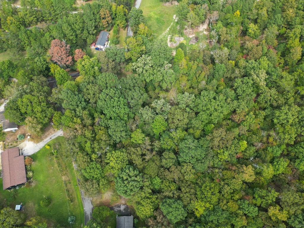 0 Jacobs Road Ringgold, GA 30736 - Photo 5 of 15 Gallery Image 5