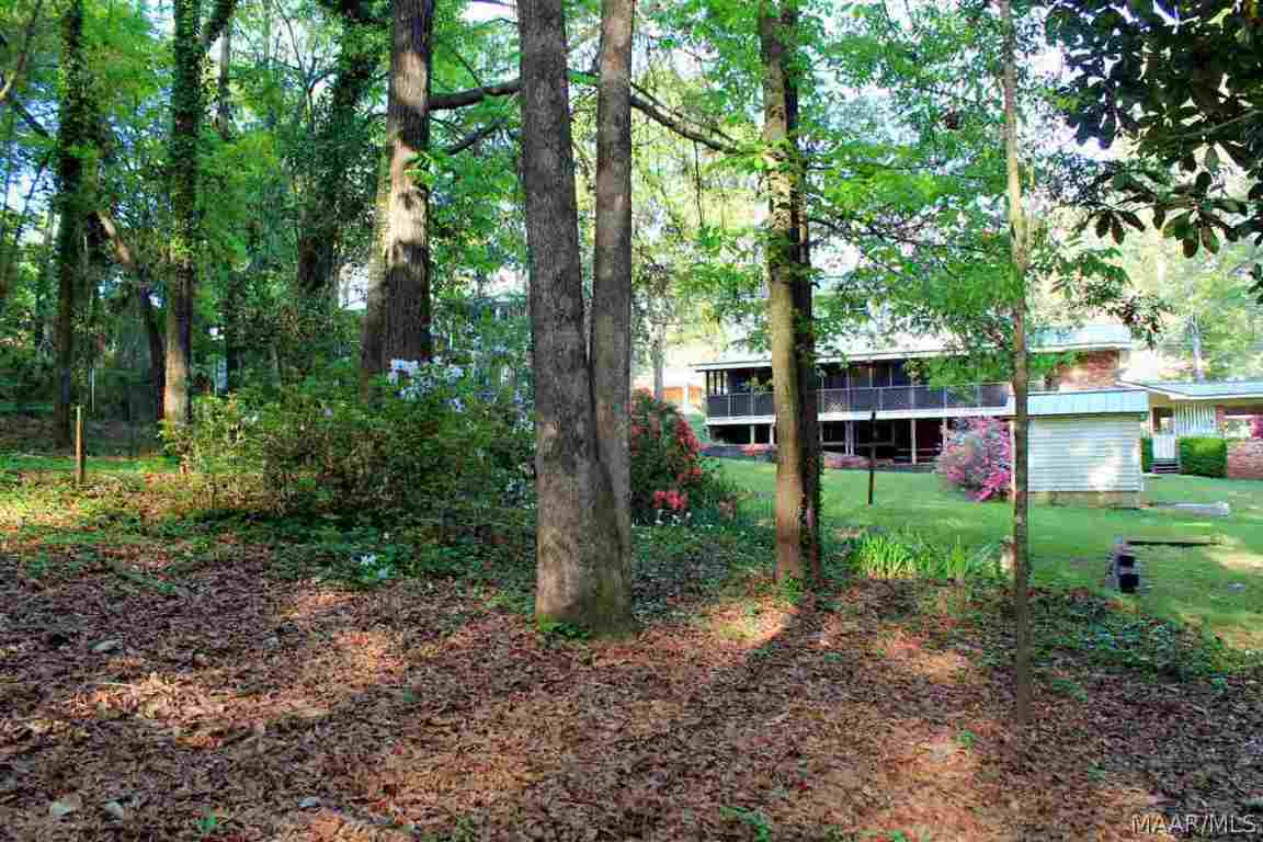 315 Holly Hill Road Enterprise, AL 36330 - Photo 34 of 35 Gallery Image 34