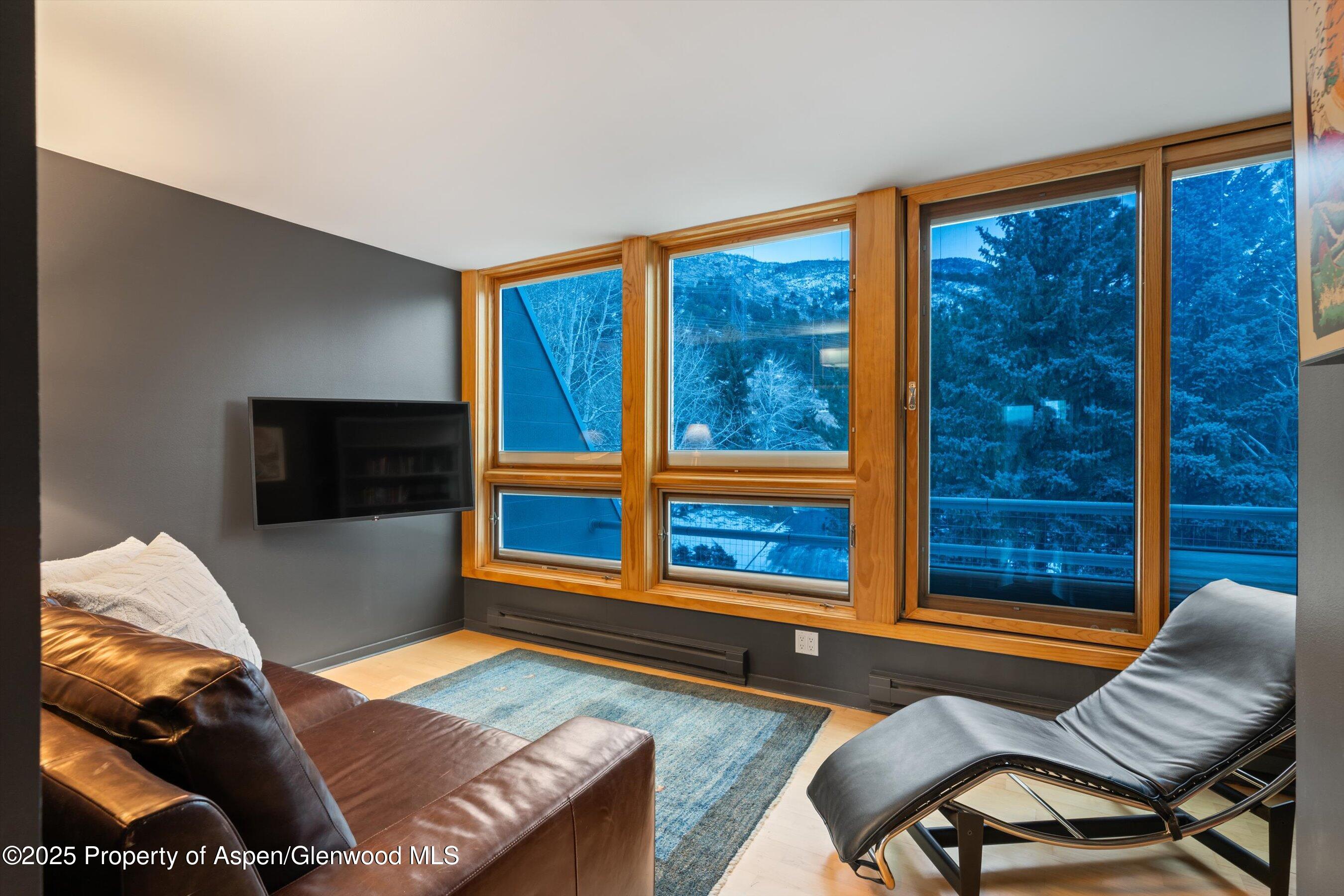 805 Pinon Drive, Unit 1 Basalt, CO 81621 - Photo 18 of 21 a living room with furniture and a flat screen tv