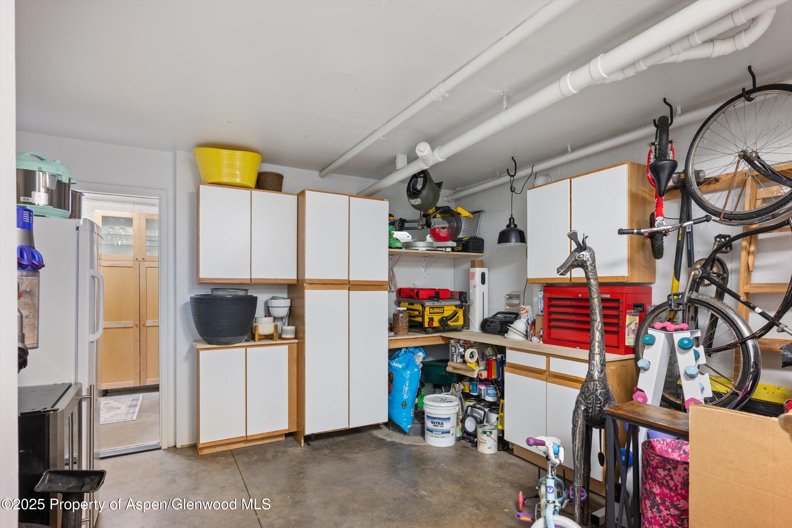 805 Pinon Drive, Unit 1 Basalt, CO 81621 - Photo 19 of 21 a view of storage and utility room