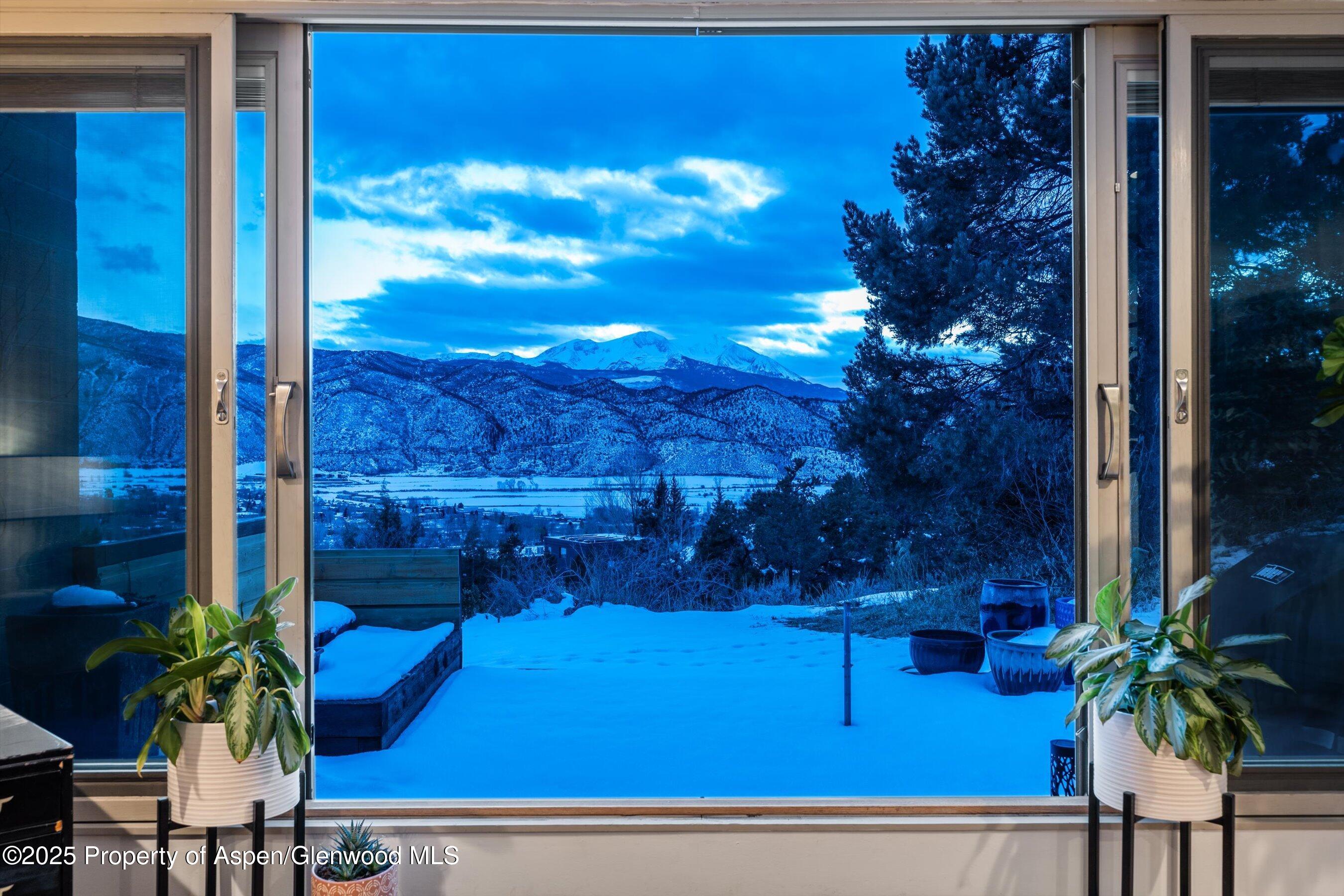 805 Pinon Drive, Unit 1 Basalt, CO 81621 - Photo 7 of 21 a view of a balcony with potted plants