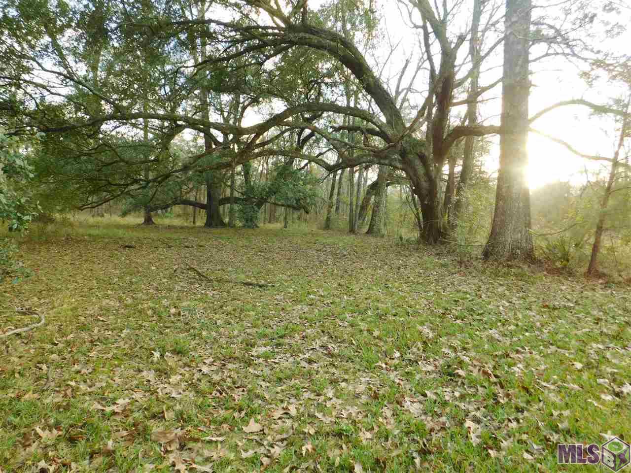 47177 Laurel Ridge Road St. Amant, LA 70774 - Photo 5 of 7 Gallery Image 5