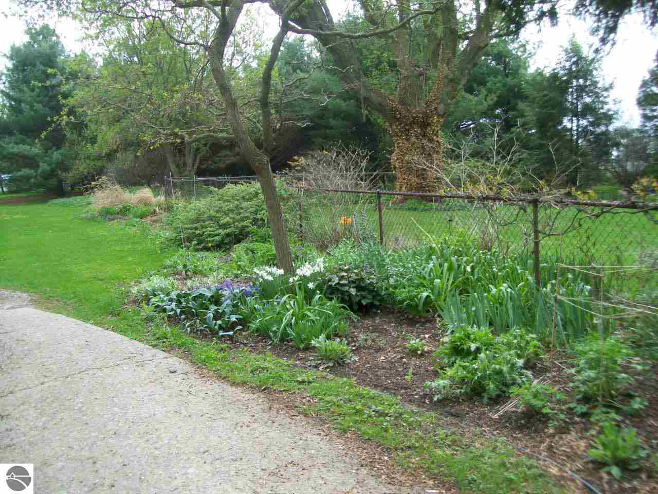 5529 West Monroe Road Alma, MI 48801 - Photo 43 of 59