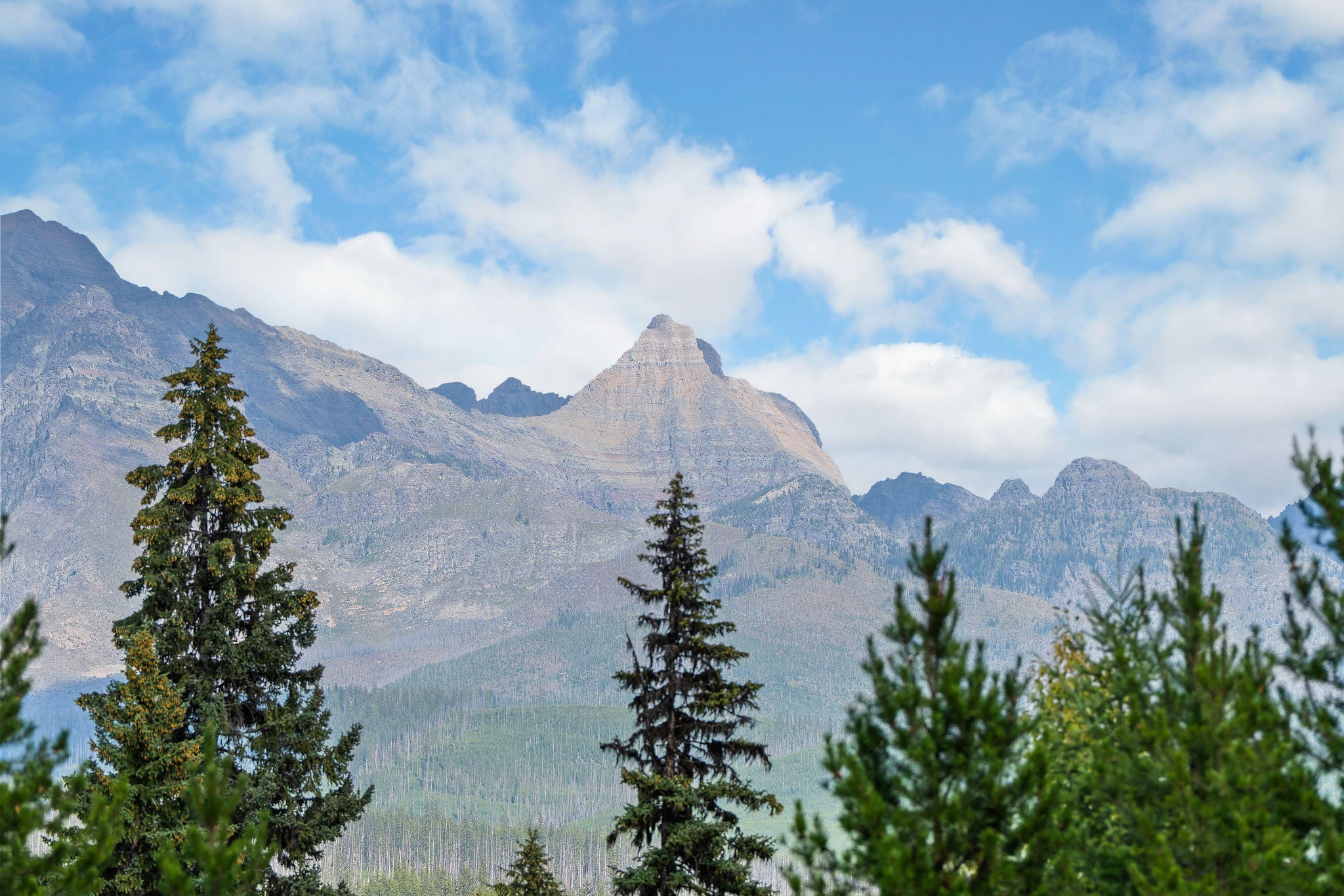 14000 North Fork Road Polebridge, MT 59928 - Photo 56 of 66 Gallery Image 56