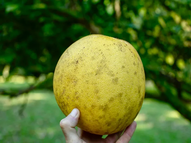 $799,000 | Lot A-2 Chin Chuck Road, Papaikou, HI 96781