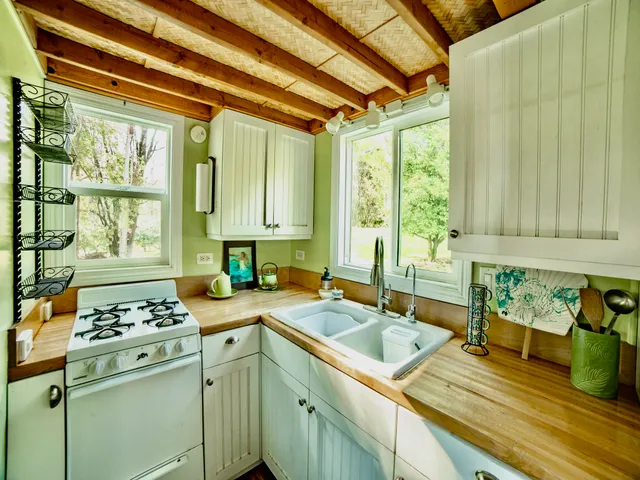 a view of a park with a tree