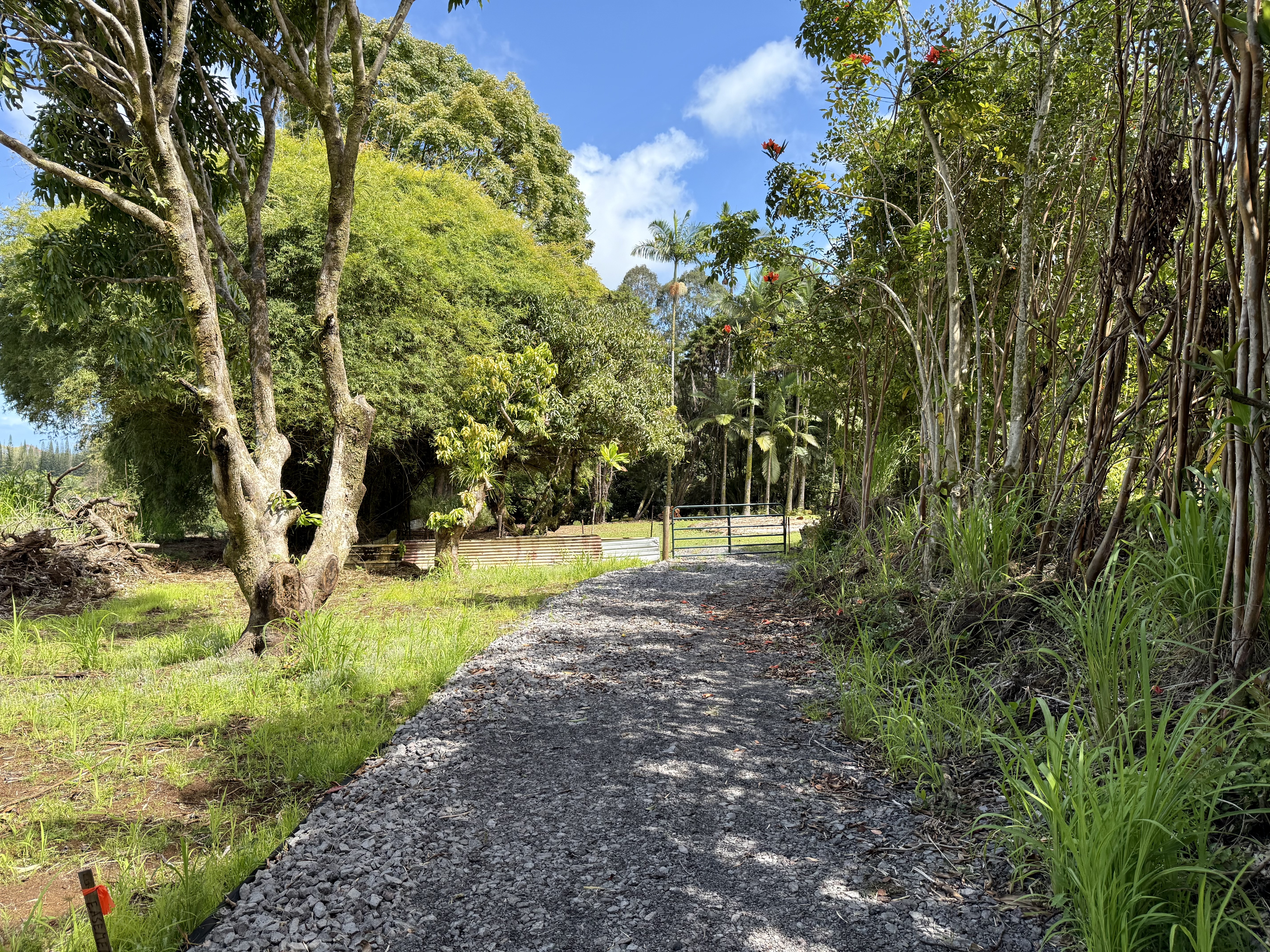 Lot A-2 Chin Chuck Road Papaikou, HI 96781 - Photo 15 of 30