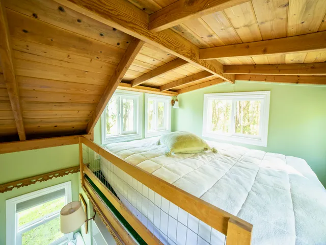 a view of a yard with plants and trees