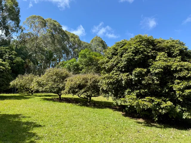 $799,000 | Lot A-2 Chin Chuck Road, Papaikou, HI 96781