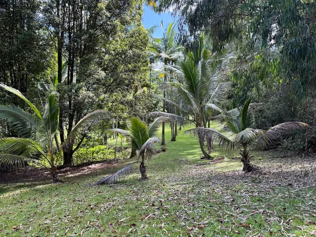 a view of a small yard