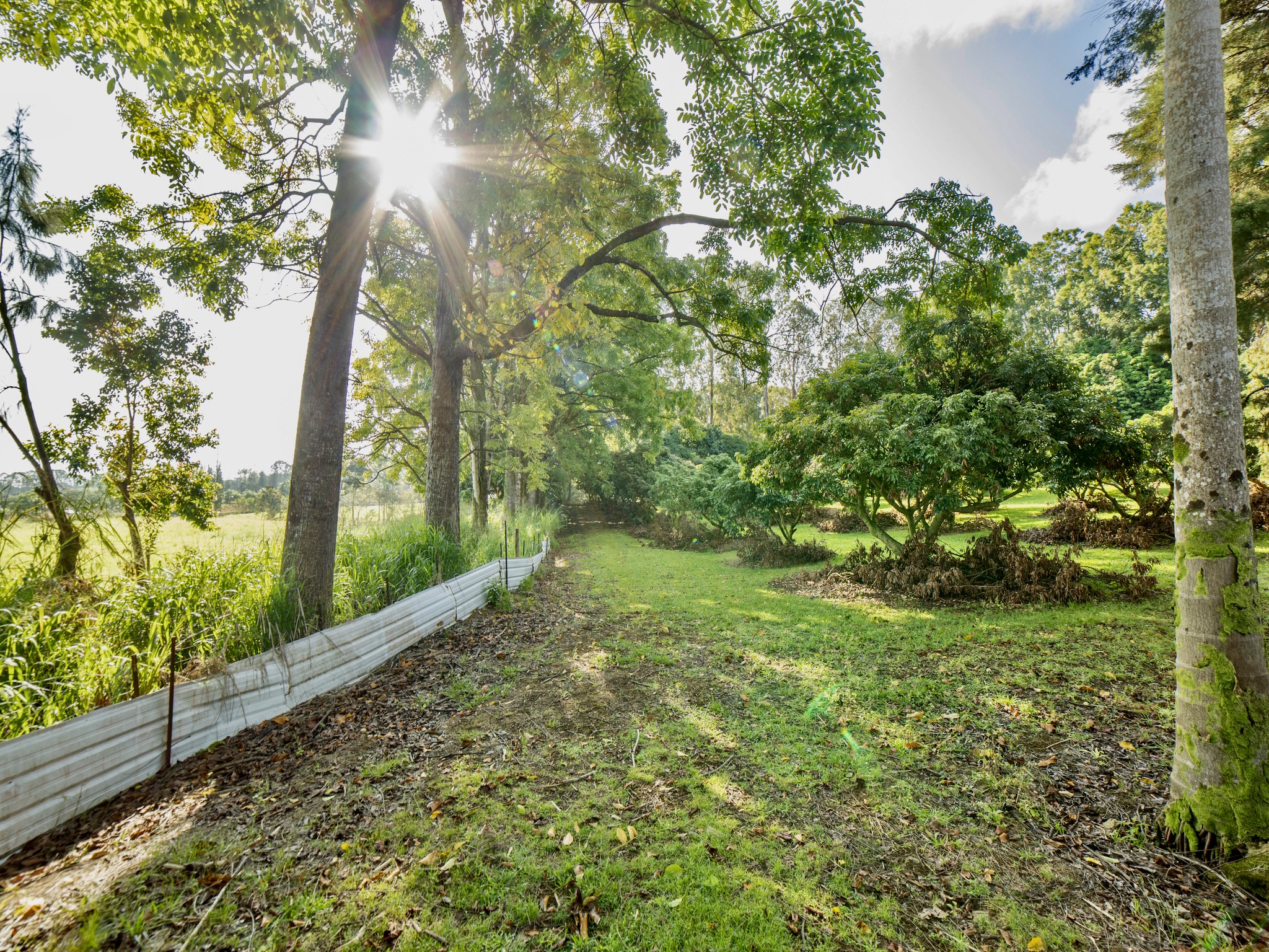 Lot A-2 Chin Chuck Road Papaikou, HI 96781 - Photo 17 of 30 a view of yard with green space