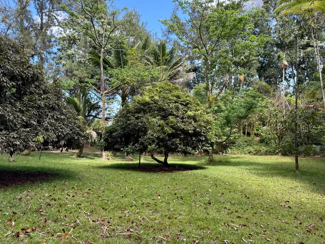 a view of a backyard of the house