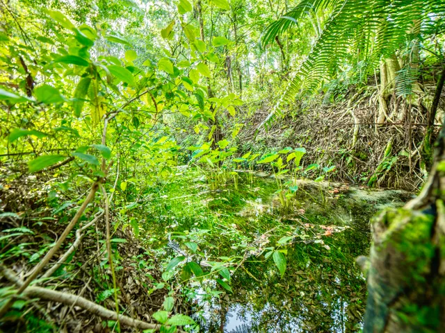 $799,000 | Lot A-2 Chin Chuck Road, Papaikou, HI 96781