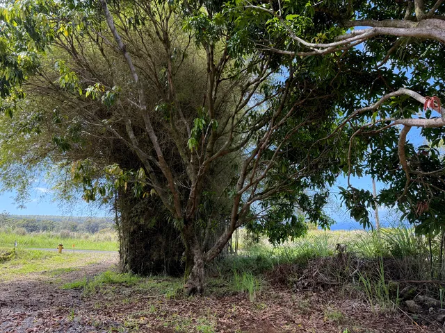 $799,000 | Lot A-2 Chin Chuck Road, Papaikou, HI 96781